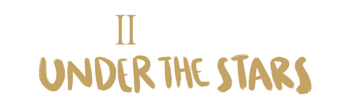ON Festival Logo Transparent 1