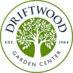 driftwood