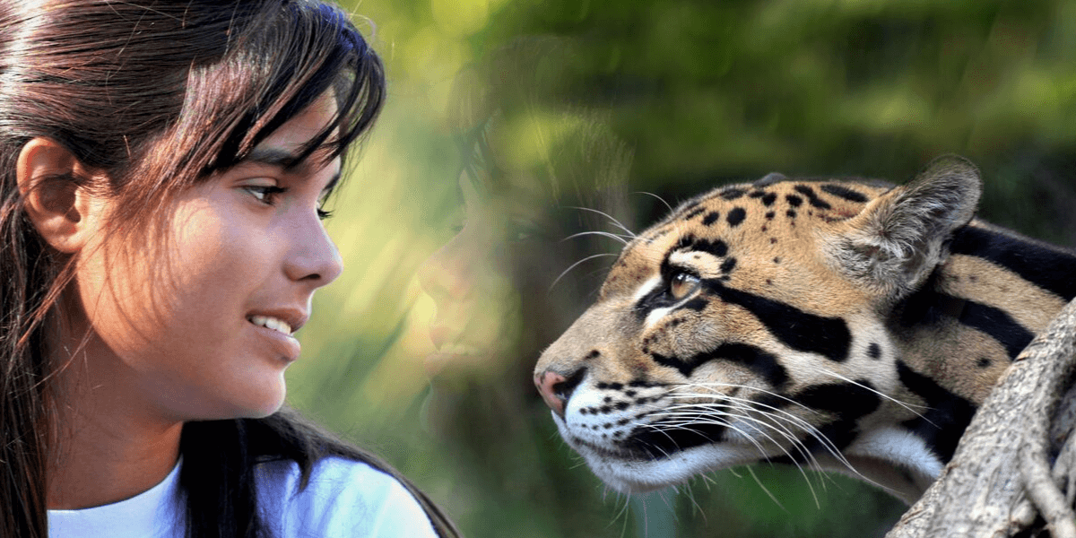 clouded_leopard_web_cover_rotator